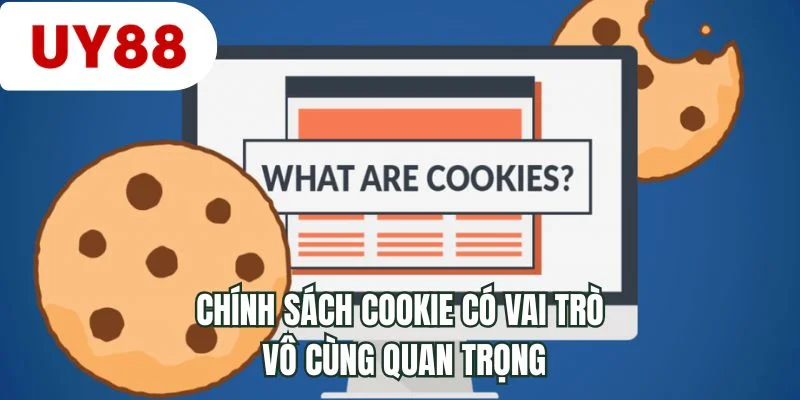 Chính sách cookie có vai trò vô cùng quan trọng