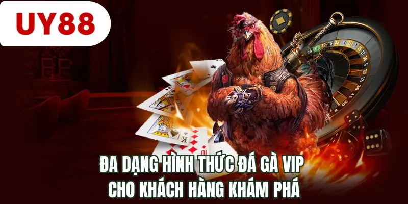 Đa dạng hình thức đá gà VIP cho khách hàng khám phá