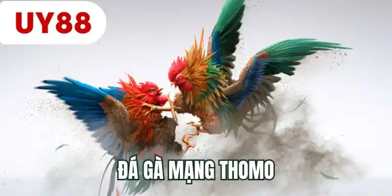 Đá gà mạng Thomo l
