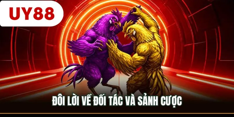 Đôi lời về đối tác và sảnh cược