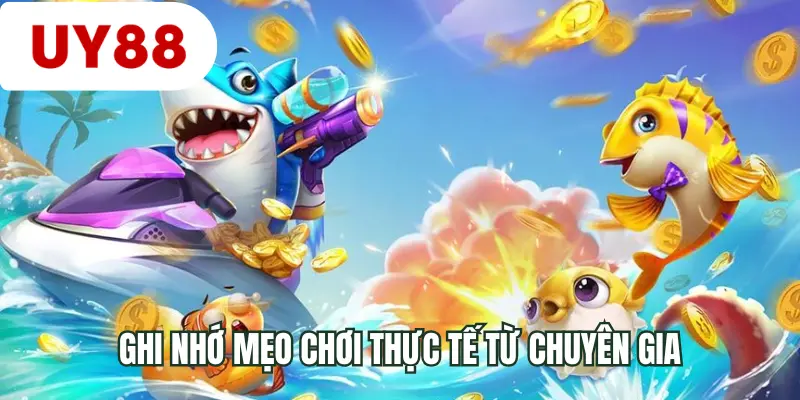 Ghi nhớ mẹo chơi thực tế từ chuyên gia