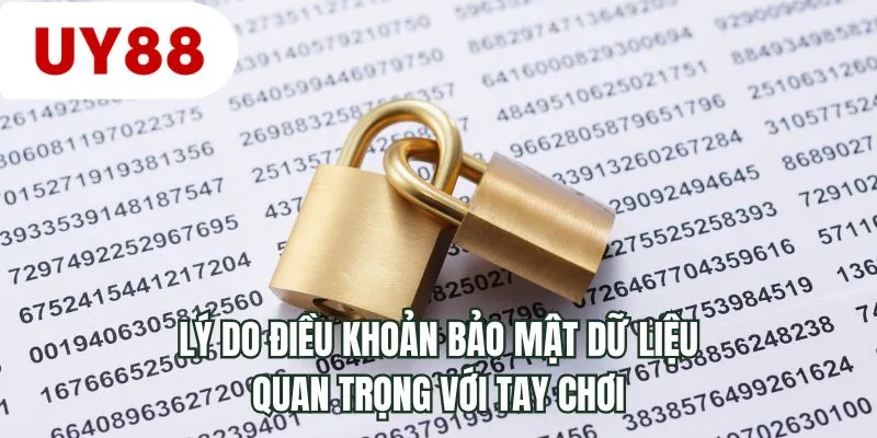 Lý do điều khoản bảo mật dữ liệu quan trọng với tay chơi