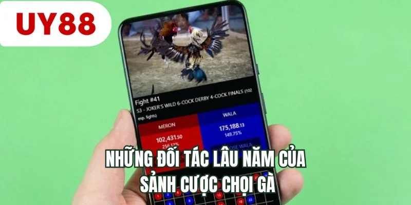 Những đối tác lâu năm của sảnh cược chọi gà