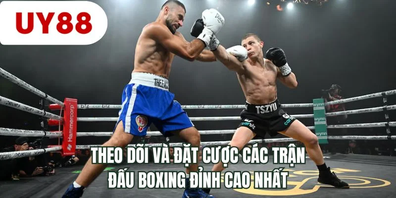 Theo dõi và đặt cược các trận đấu boxing đỉnh cao nhất