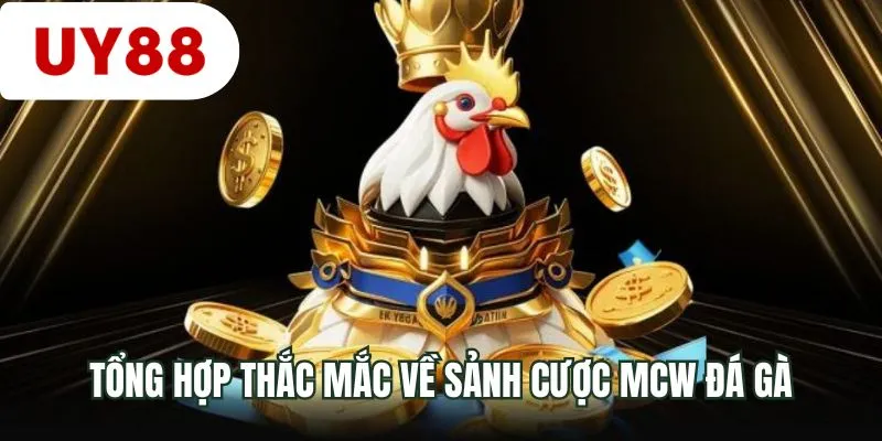 Tổng hợp thắc mắc về sảnh cược MCW đá gà