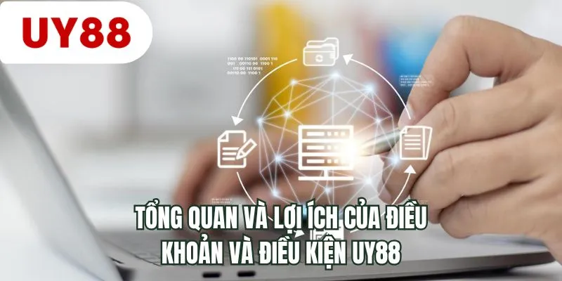 Tổng quan và lợi ích của điều khoản và điều kiện UY88